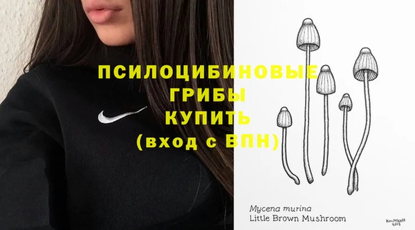 mix Алексин