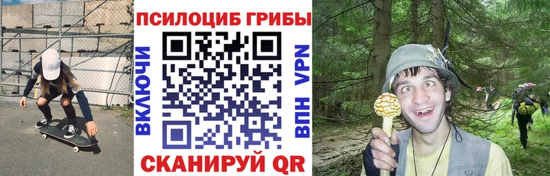 где купить наркоту  Апрелевка  Галлюциногенные грибы мицелий 